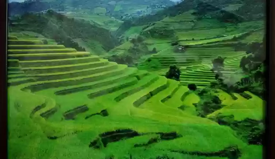 Painting (Green Landscape)