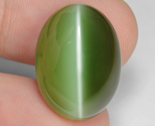 Cat's Eye-4 (Lehsunia)